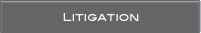 LITIGATION